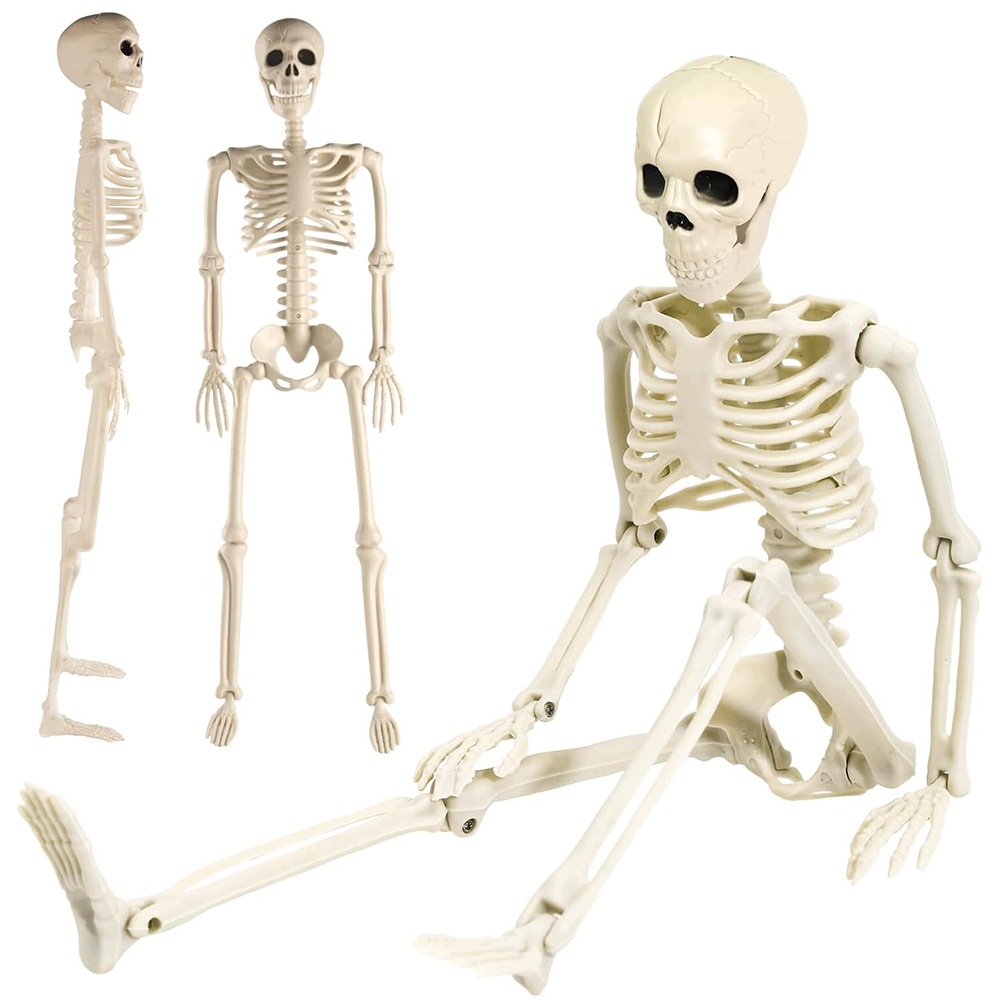 94 cm Lebka na Halloween s pohyblivými klouby Dekorace lebka Bedee