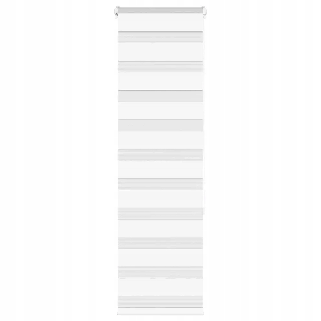 Zebra roleta bílá 50x150 cm šířka látky 45,9 cm polyester Bílá 4014745