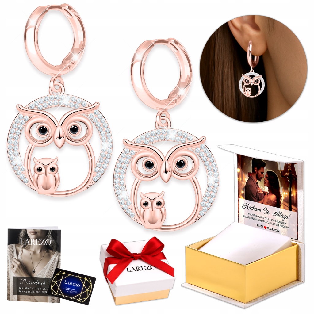 Náušnice Pozlacené stříbro 925 se Sovou Anglické Zapínání Dámské Ptáci Kruhy Sova