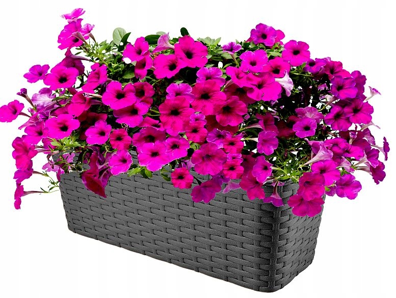 SKRZYNKA BALKONOWA DONICZKA wzór rattan 40cm GRAFIT