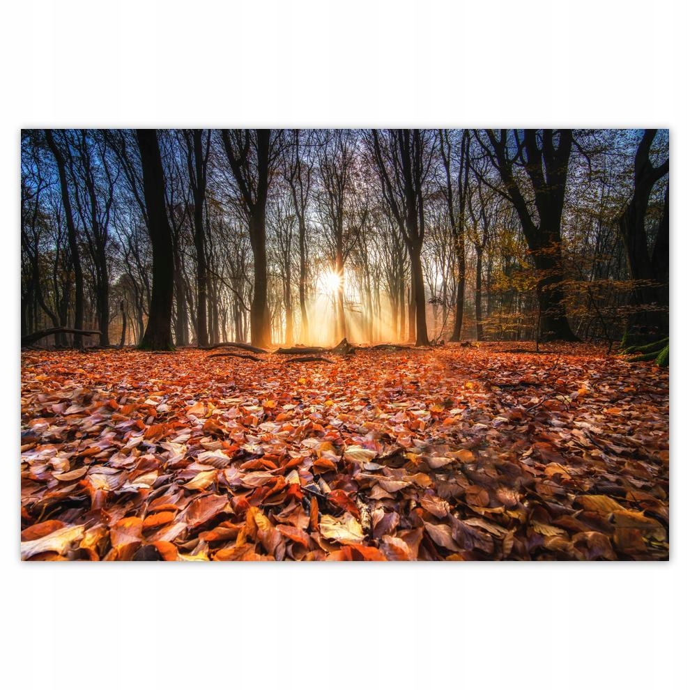 

Plakat 60x40 Jesienny widok Pejzaż