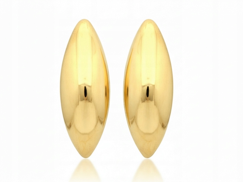 Zlaté náušnice dámské 585 oválné lesklé 21.7 mm x 7.4 mm 1,58 g, módní
