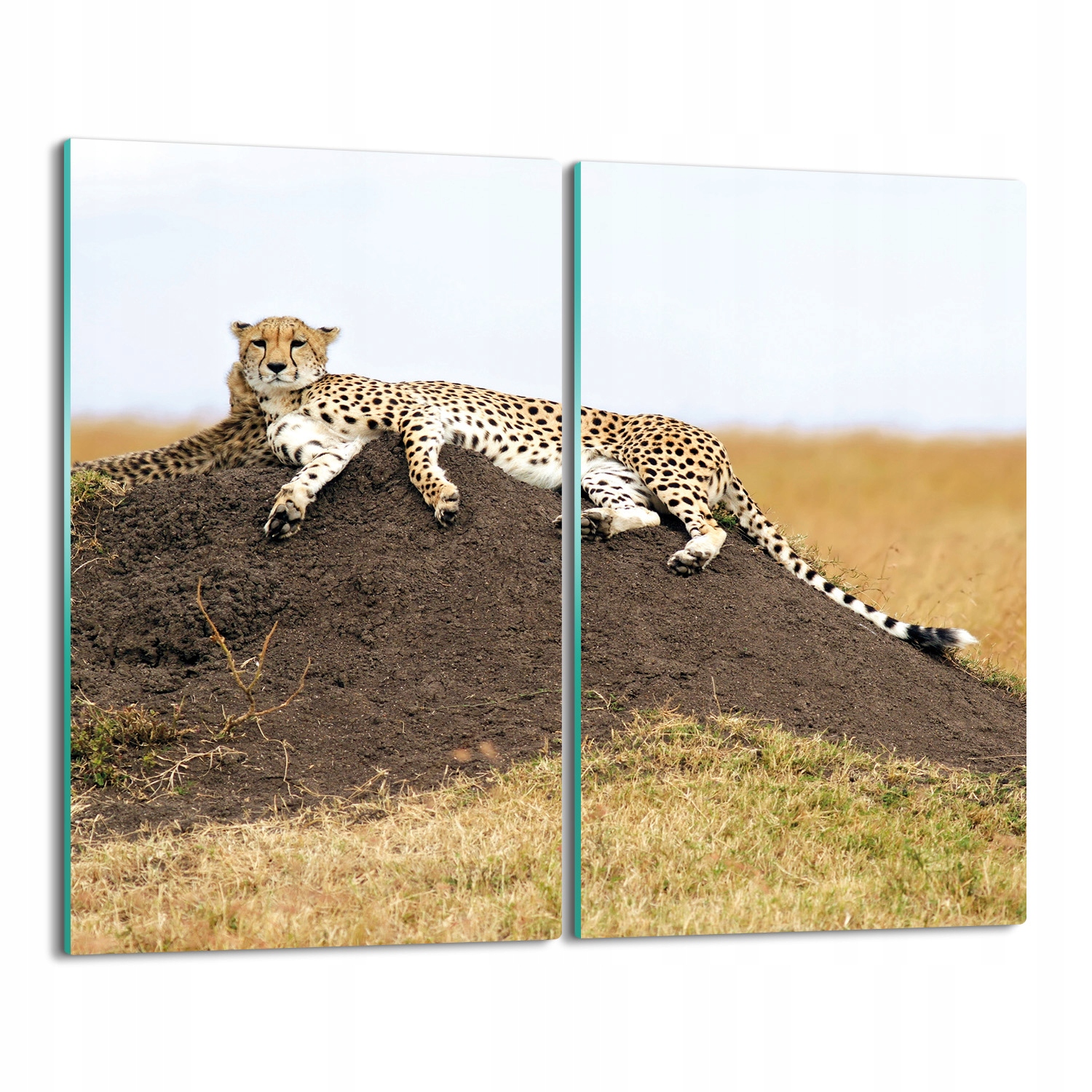 Kuchyňská krytka tisk Gepard půda tráva 2x 30x52