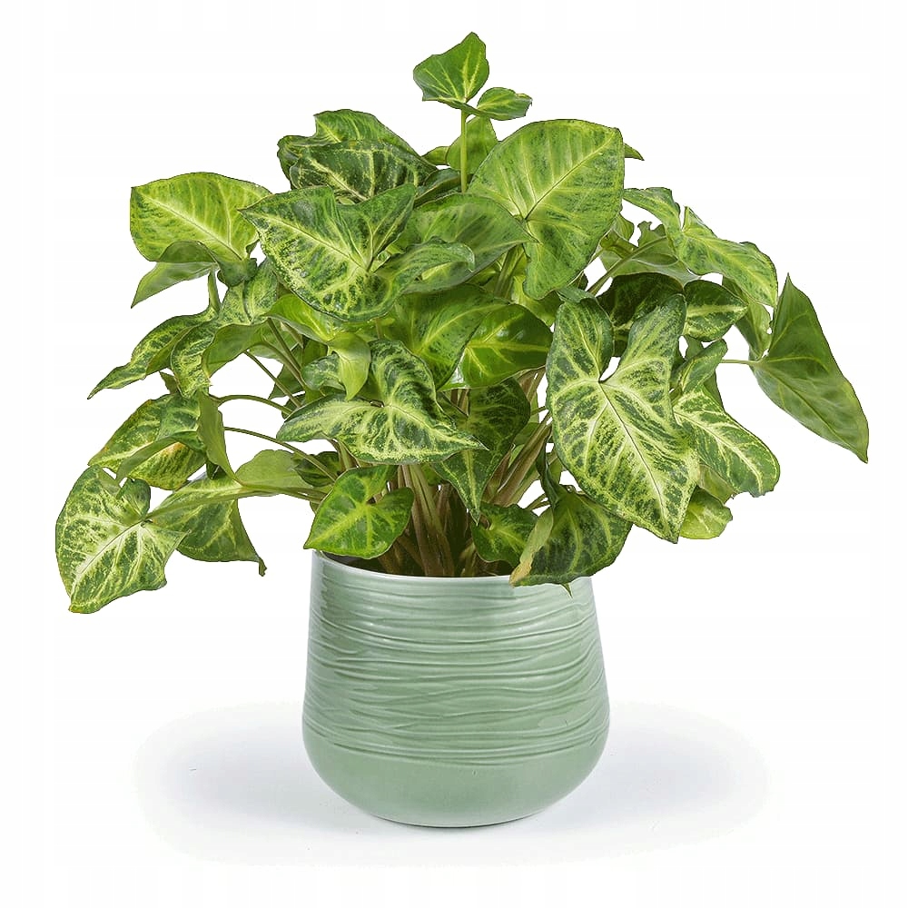 Osłonka Ceramiczna Piaskowa Wydma Kod producenta 622-15-154