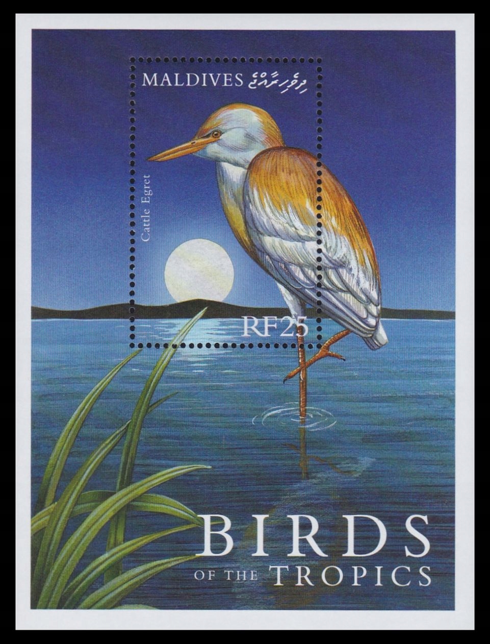 MALDIVES - PTAKI - 2000 r. - MNH(**)