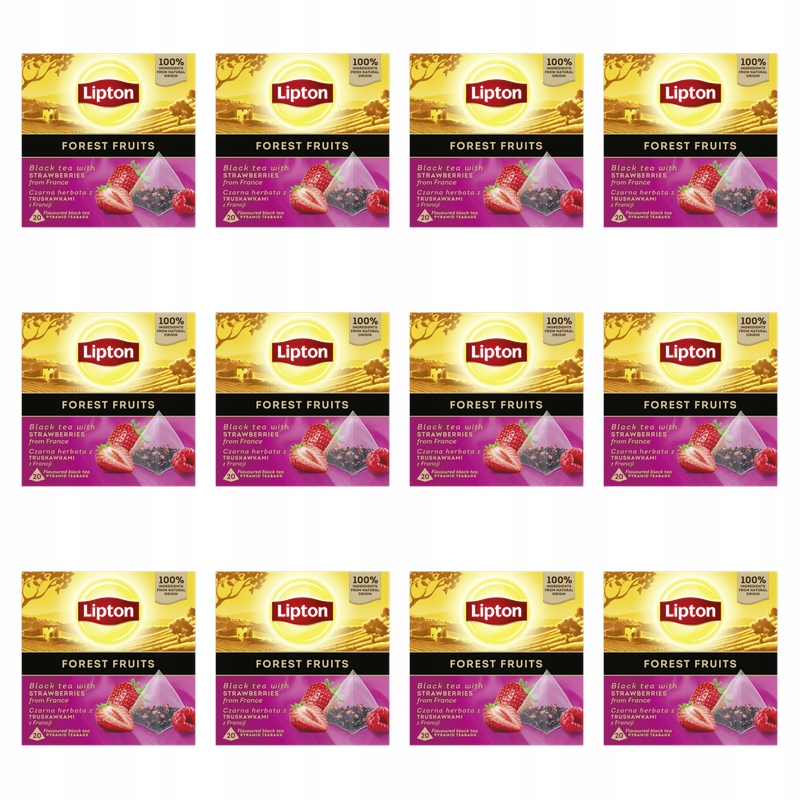 Lipton Pyramida Forest Fruits 20TB X12