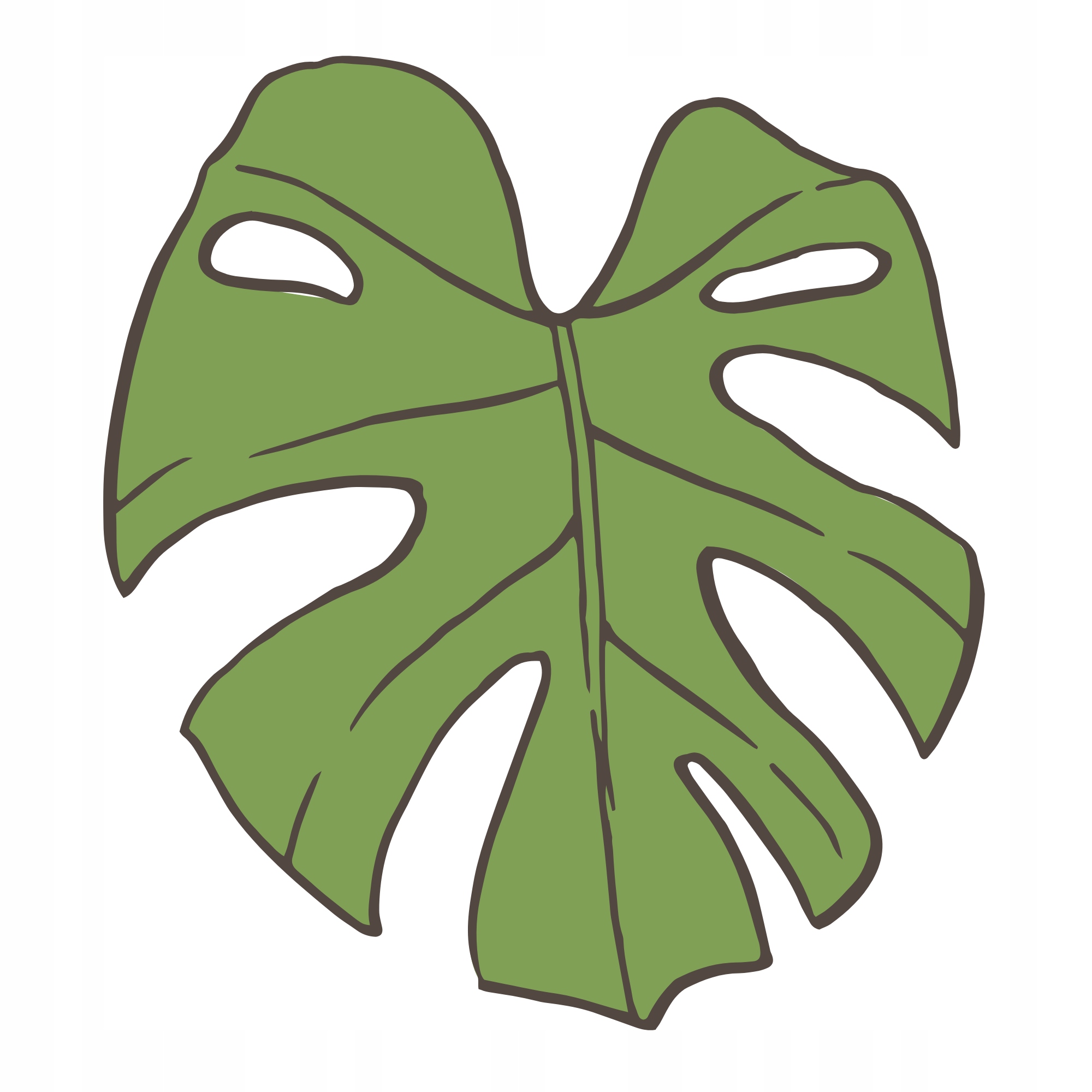 

Naprasowanka Monstera Termo Naklejka Na Odzież