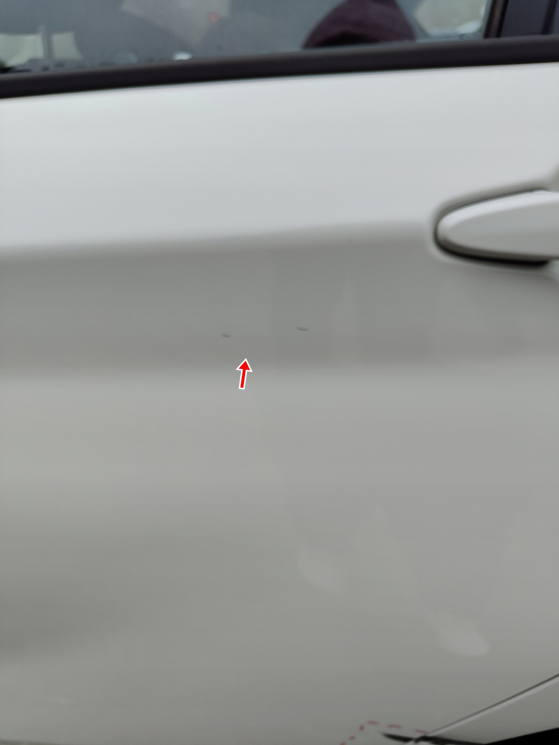 BMW F20 14R HB Tür links heck 300