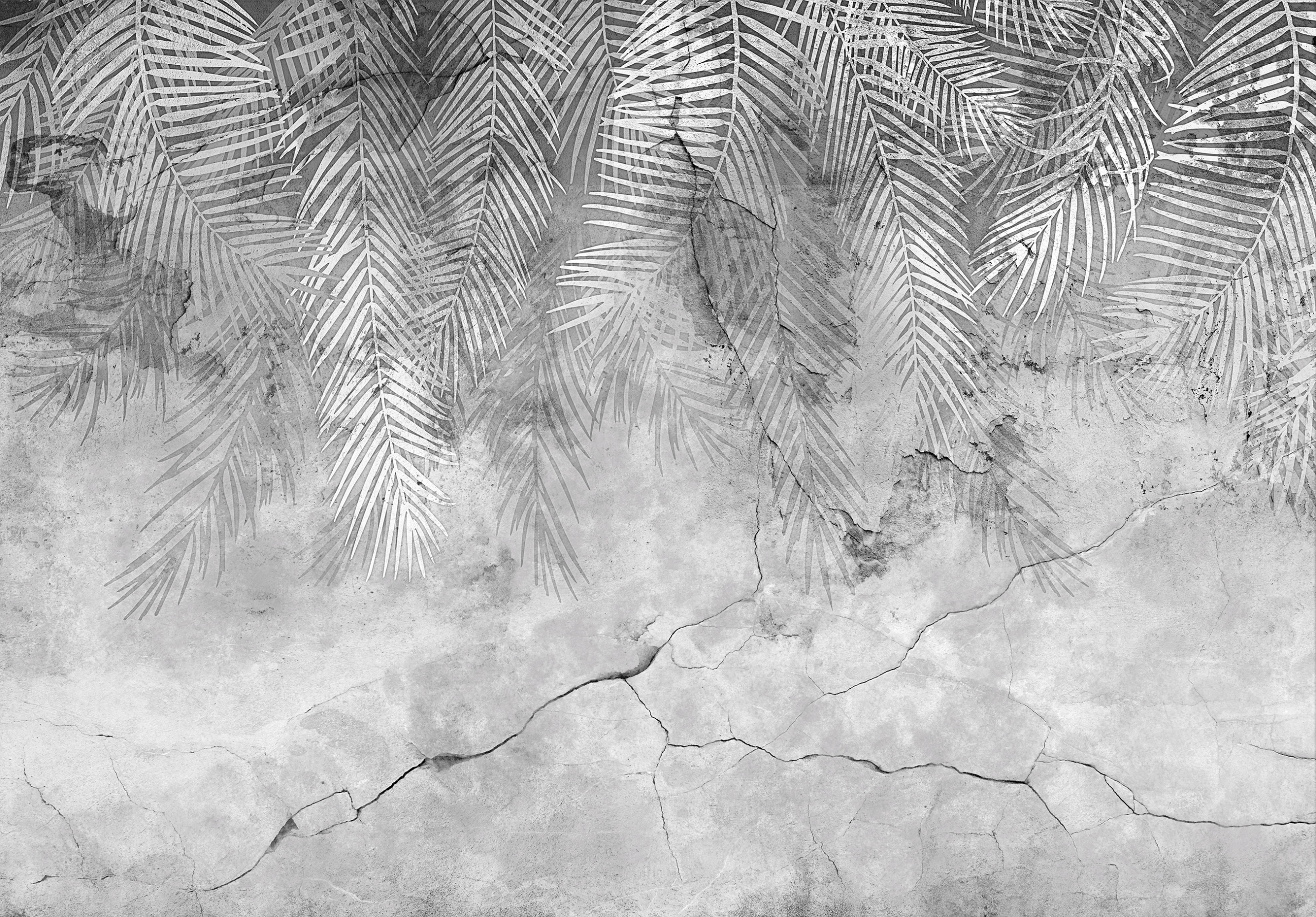 Fototapeta Palmy Beton Vinylové listy Tropické Rozmer 416x254 lepidlo
