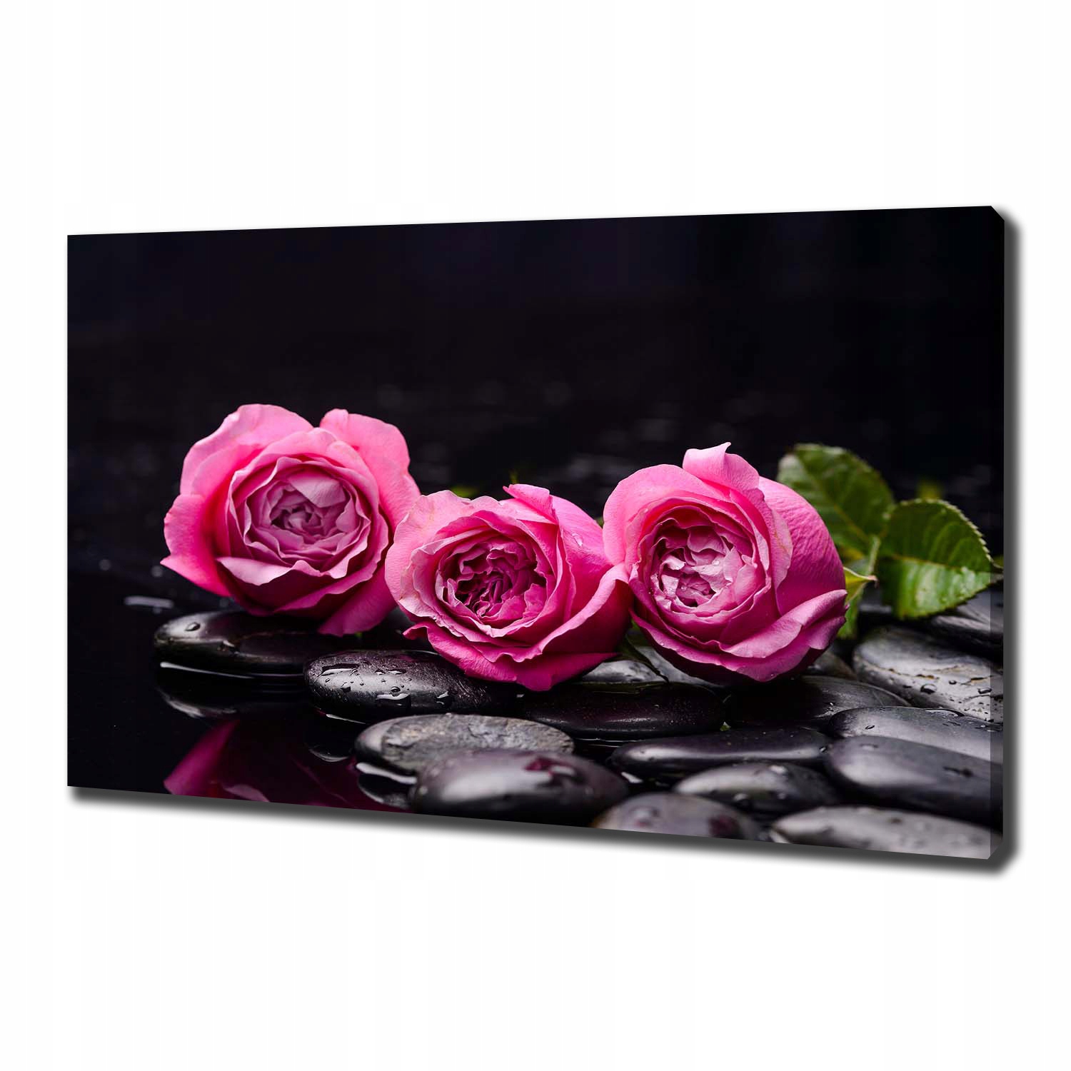

Foto obraz canvas na ścianę Różowe róże 100x70 cm