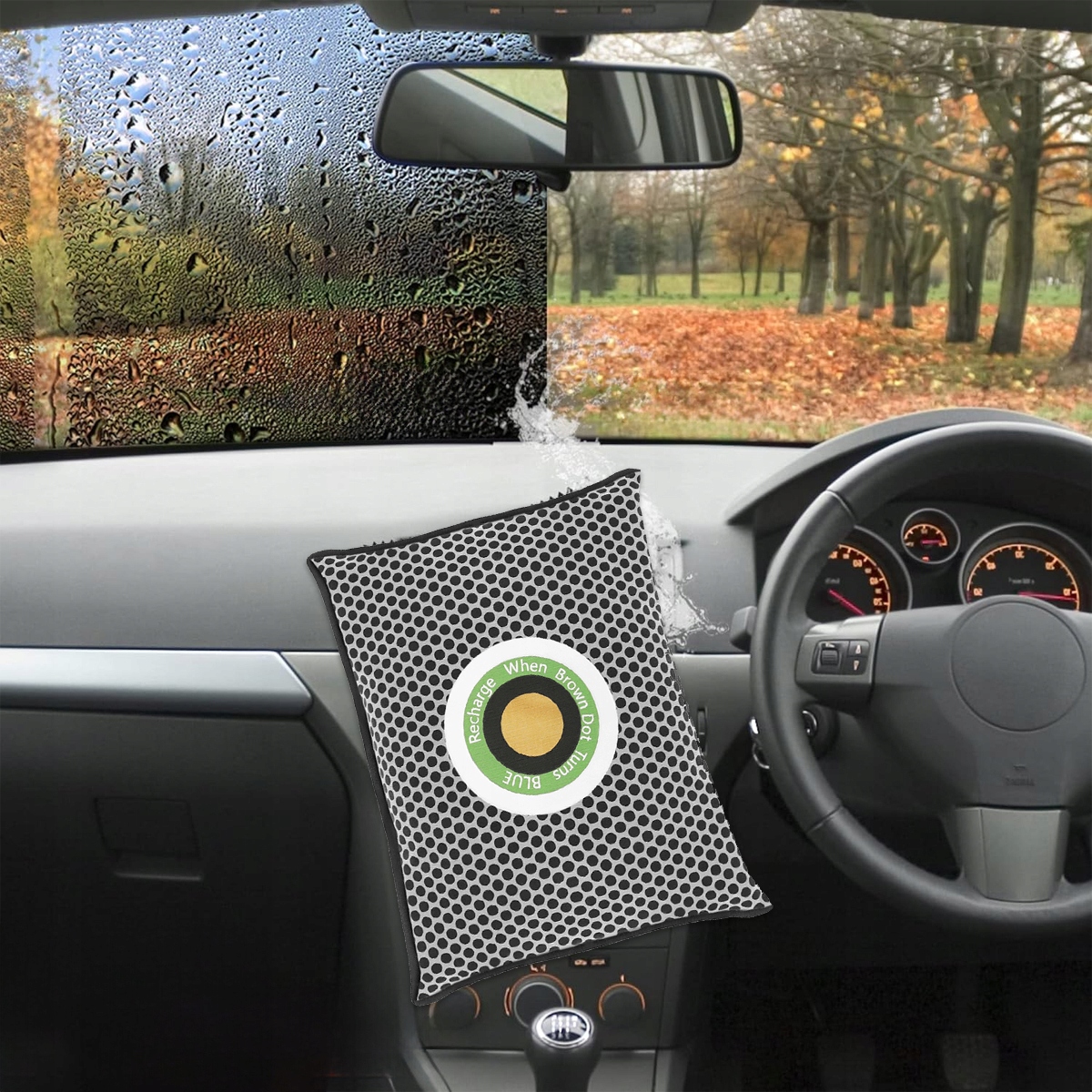 SAMOCHODOWY POCHŁANIACZ WILGOCI DO SAMOCHODU AUTA OSUSZACZ 500G / 1000M Marka inna