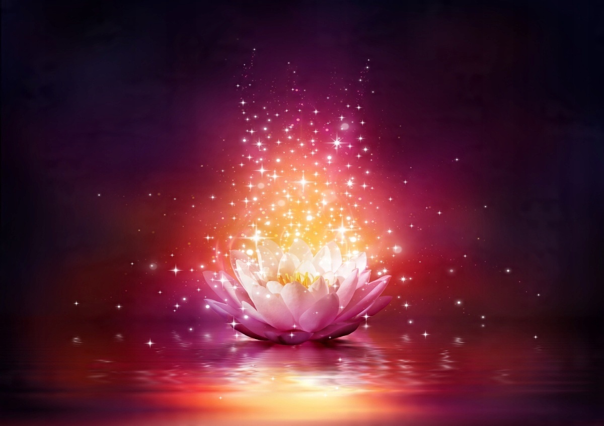 

Tapeta flizelinowa Lotus Gwiazdy 208x146