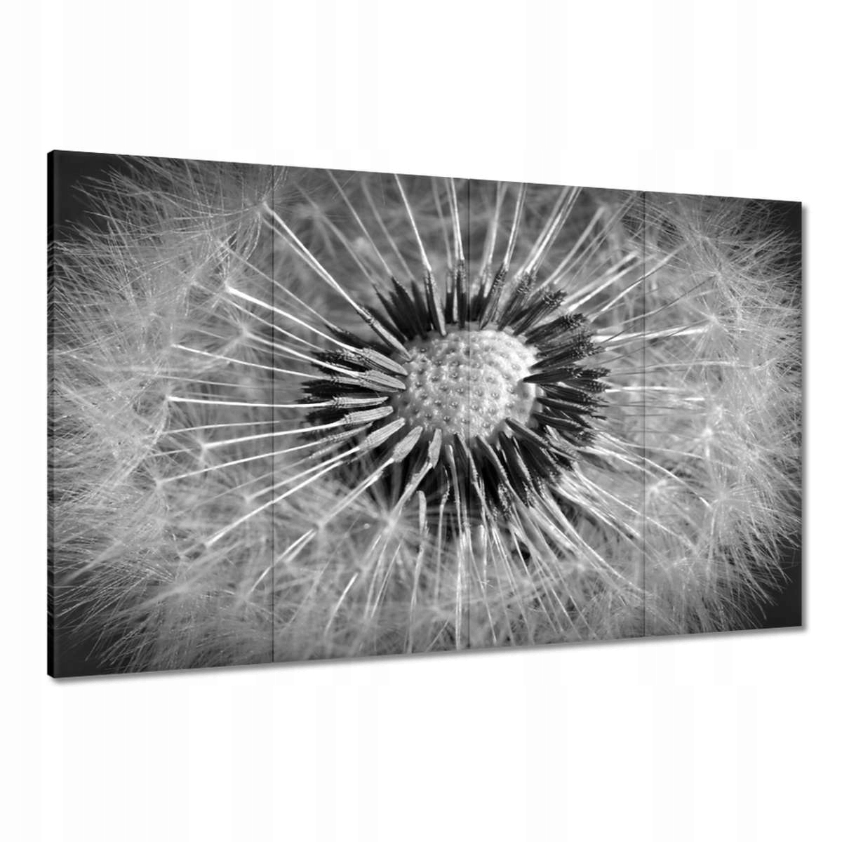 Obrazy 120x80 Pampeliška Květ Květiny