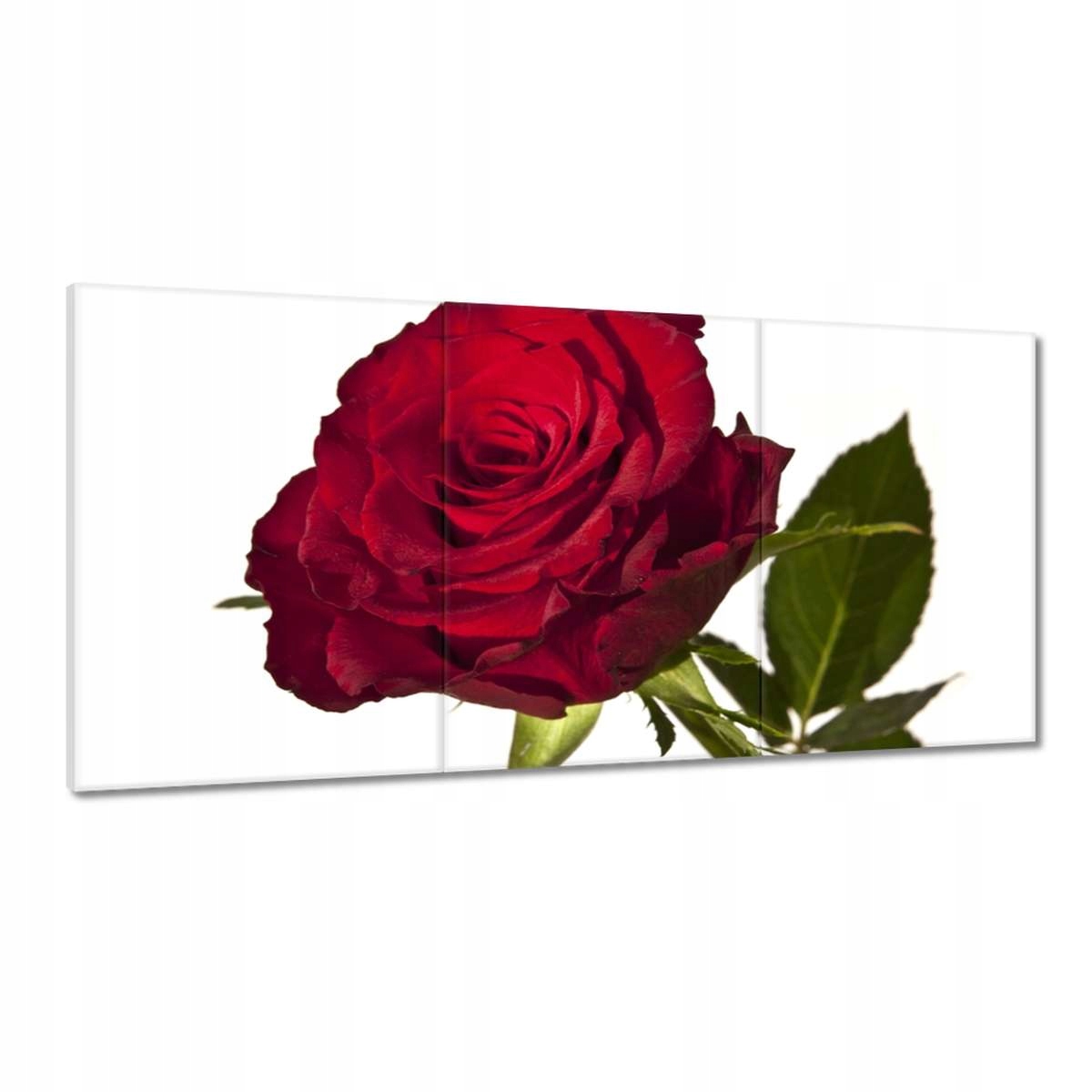Obrazy 180x90 Červená ruža