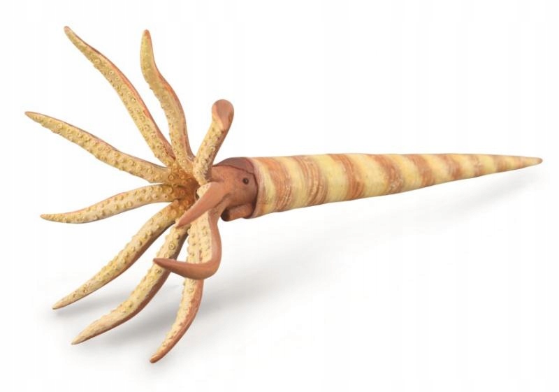 

Orthoceras - CollectA - 88903