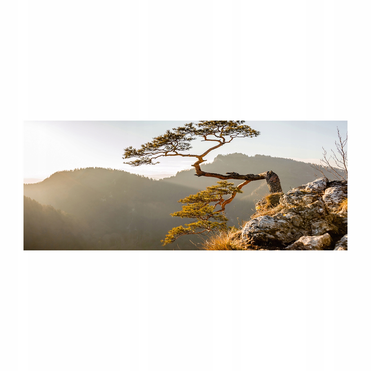 

Foto obraz szkło akryl Sokolica Pieniny 125x50 cm