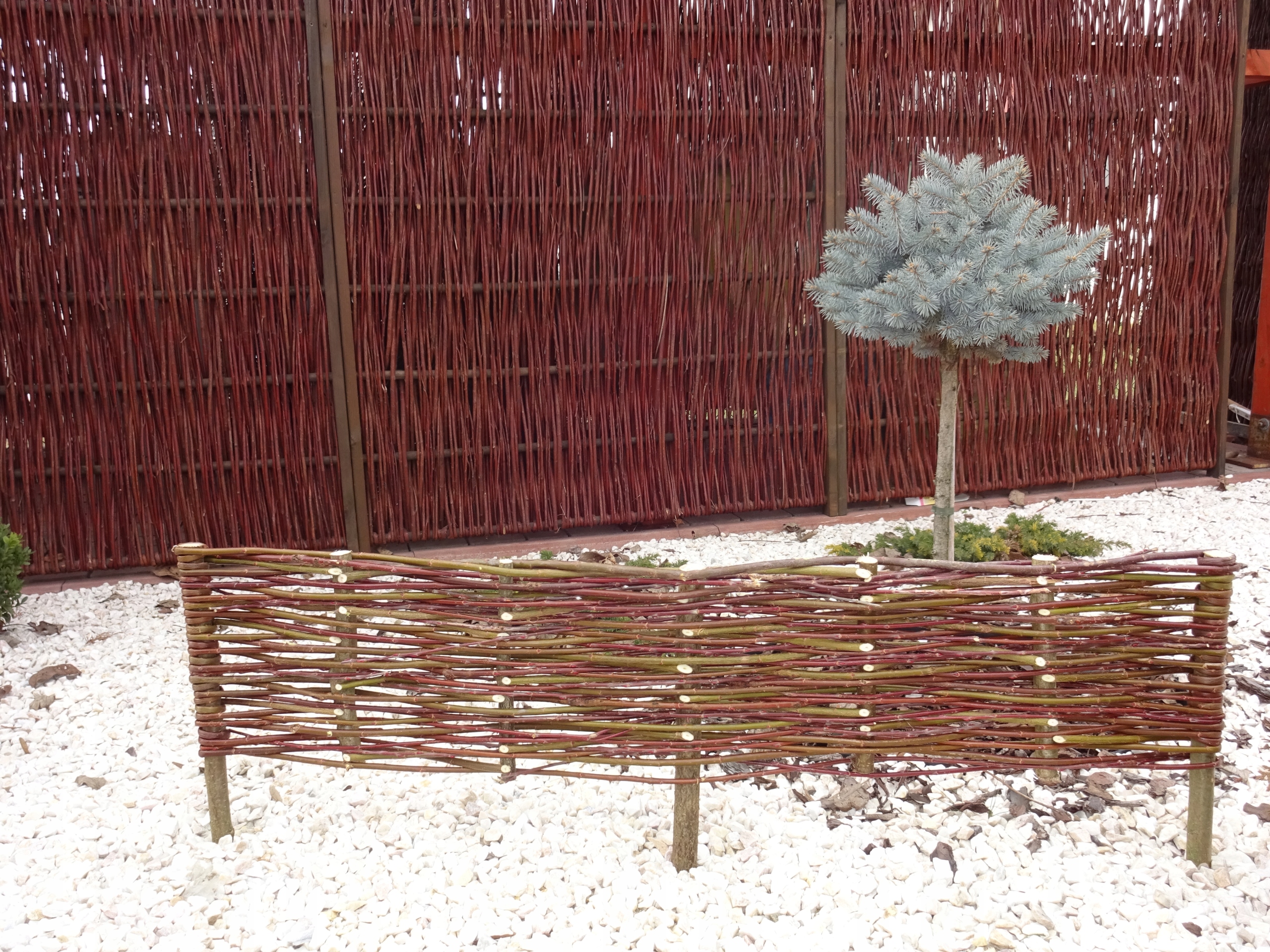 PALISADA WIKLINOWA RABATKA OBRZEŻE PŁOTEK 100x20 Producent inna