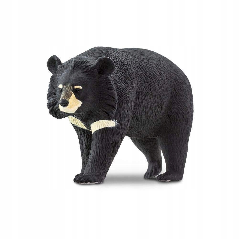 

Niedźwiedź Himalajski Safari Ltd. 100044