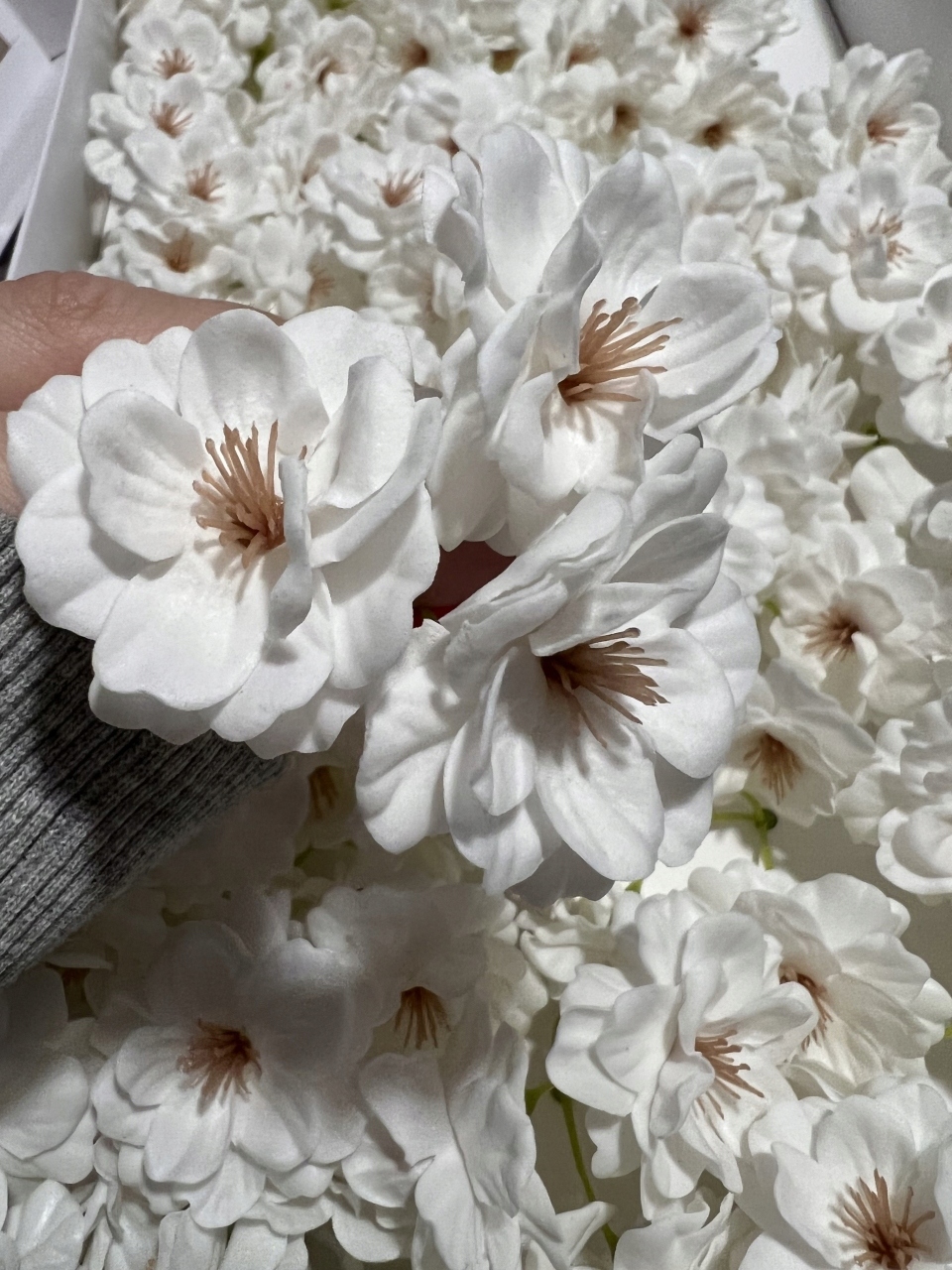 

Kwiat wiśni biały, wiśnia (1 szt.) mydło Flowerbox