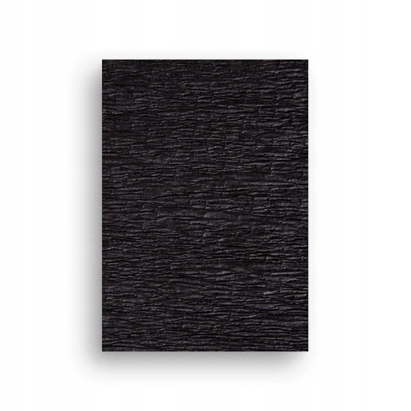 

Bibuła Marszczona 50cm x 200cm Czarny