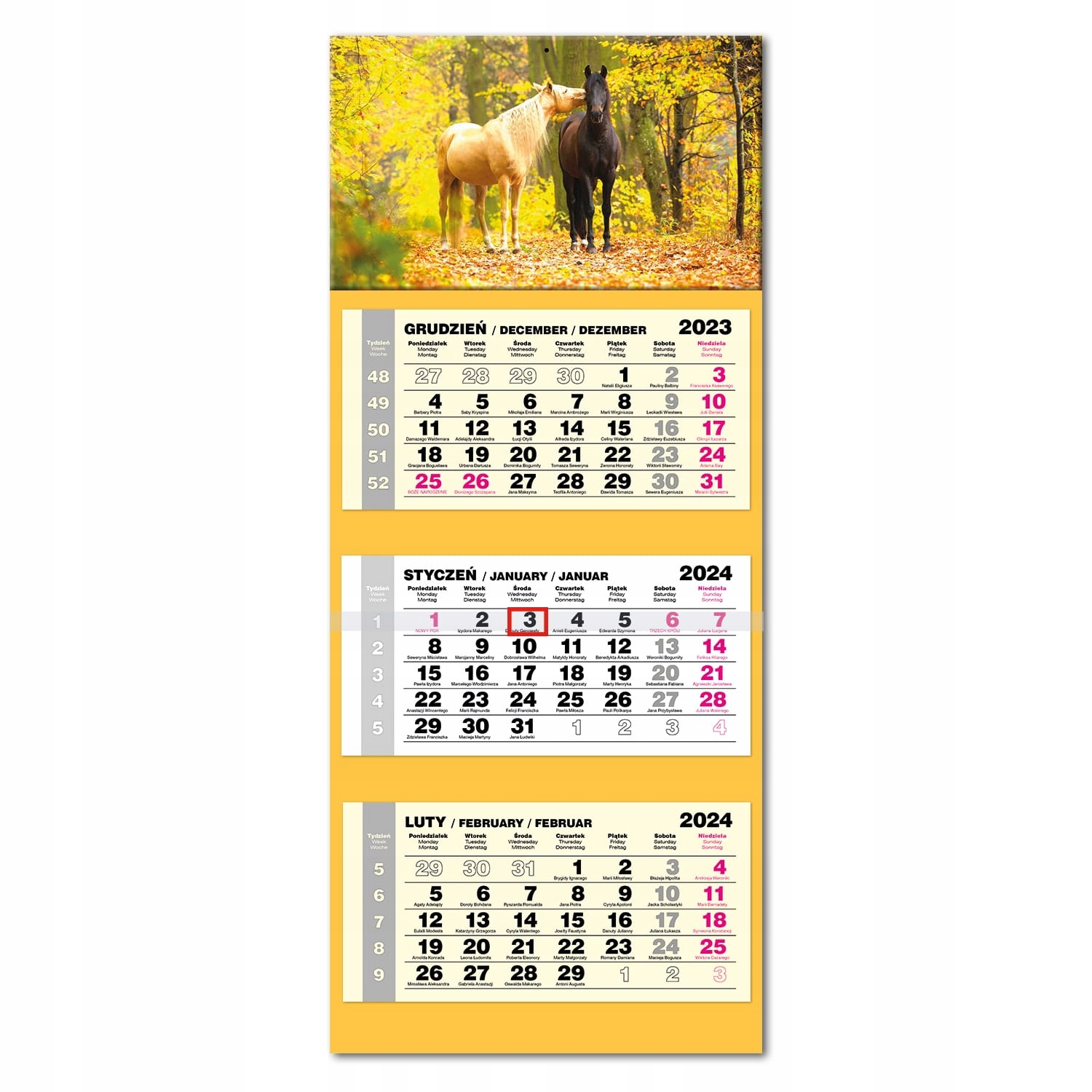 Kalendarz 2024 trójdzielny ścienny LUX główka wypukła KONIE KOŃ