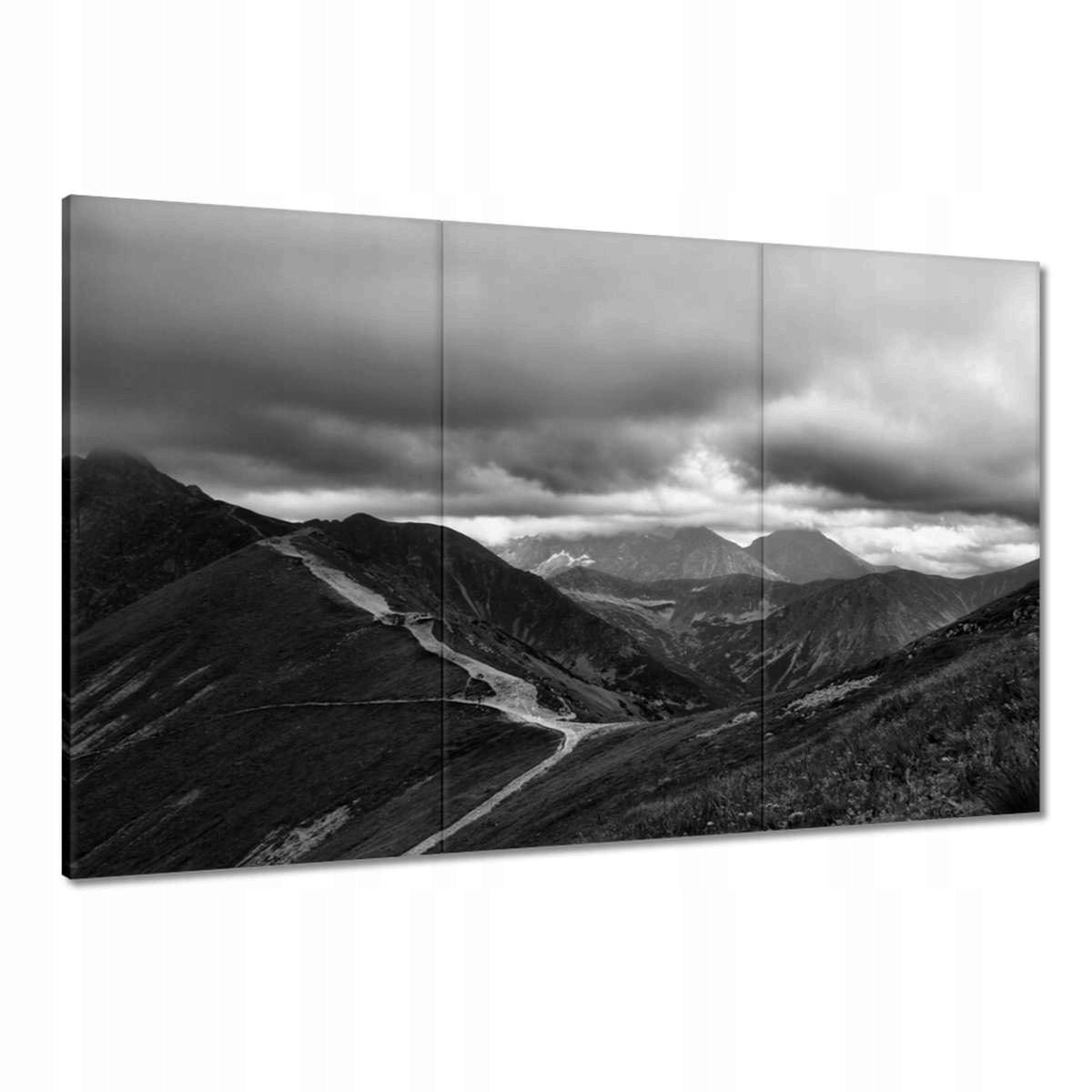 Obrazy 120x80 Tatry Polské hory Pohled