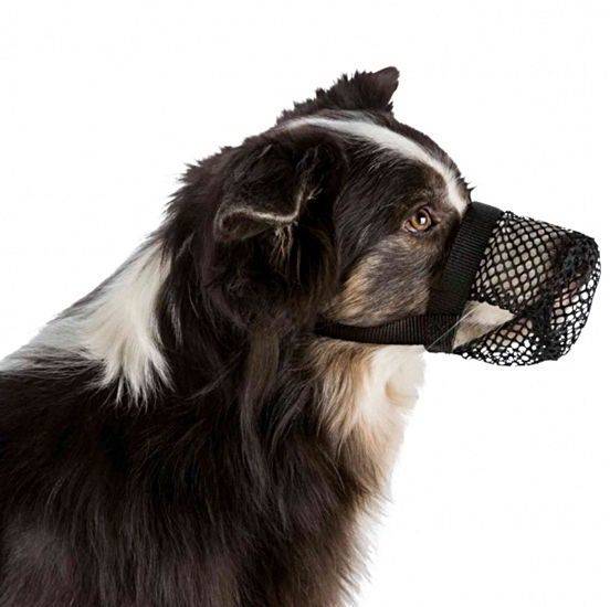 TRIXIE Ochranný náhubok pre psa proti požieraniu odpadkov zo sieťoviny XS-S