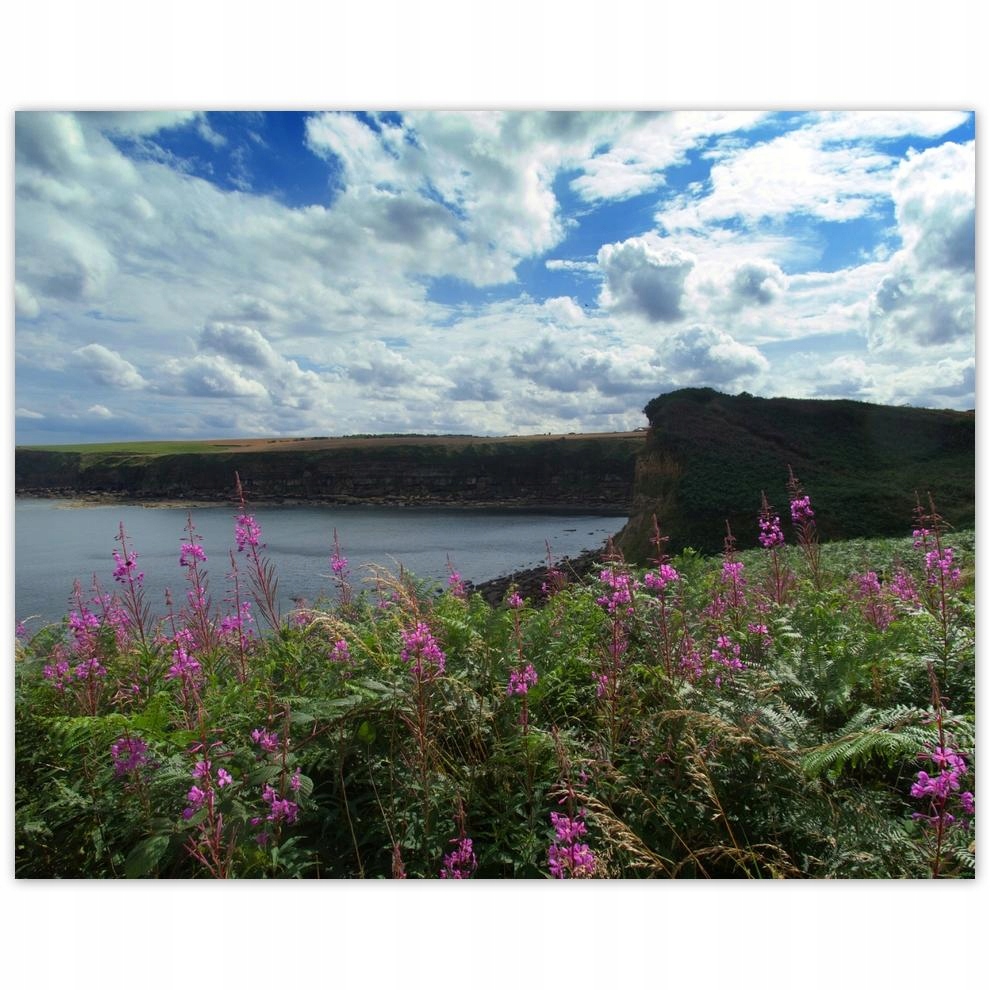 

Plakat 50x40 Fioletowe kwiatki