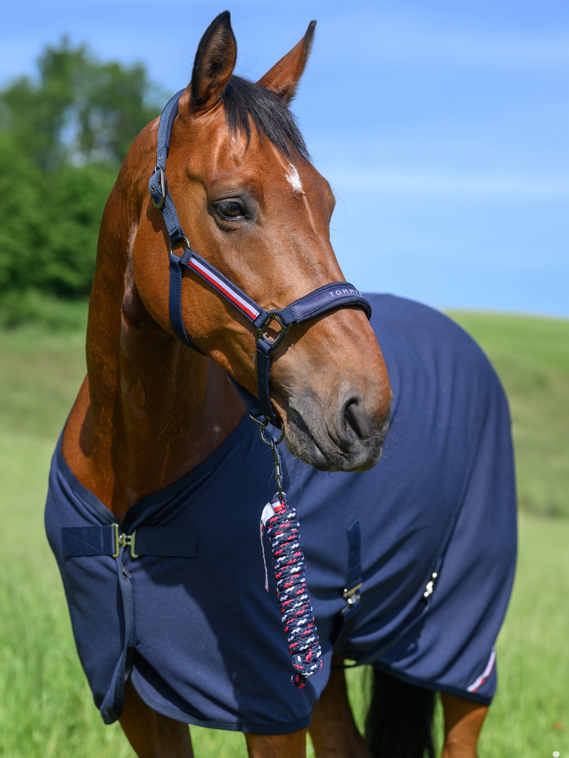 Tommy Hilfiger Equestrian Kantar z uwiązem Yale Full