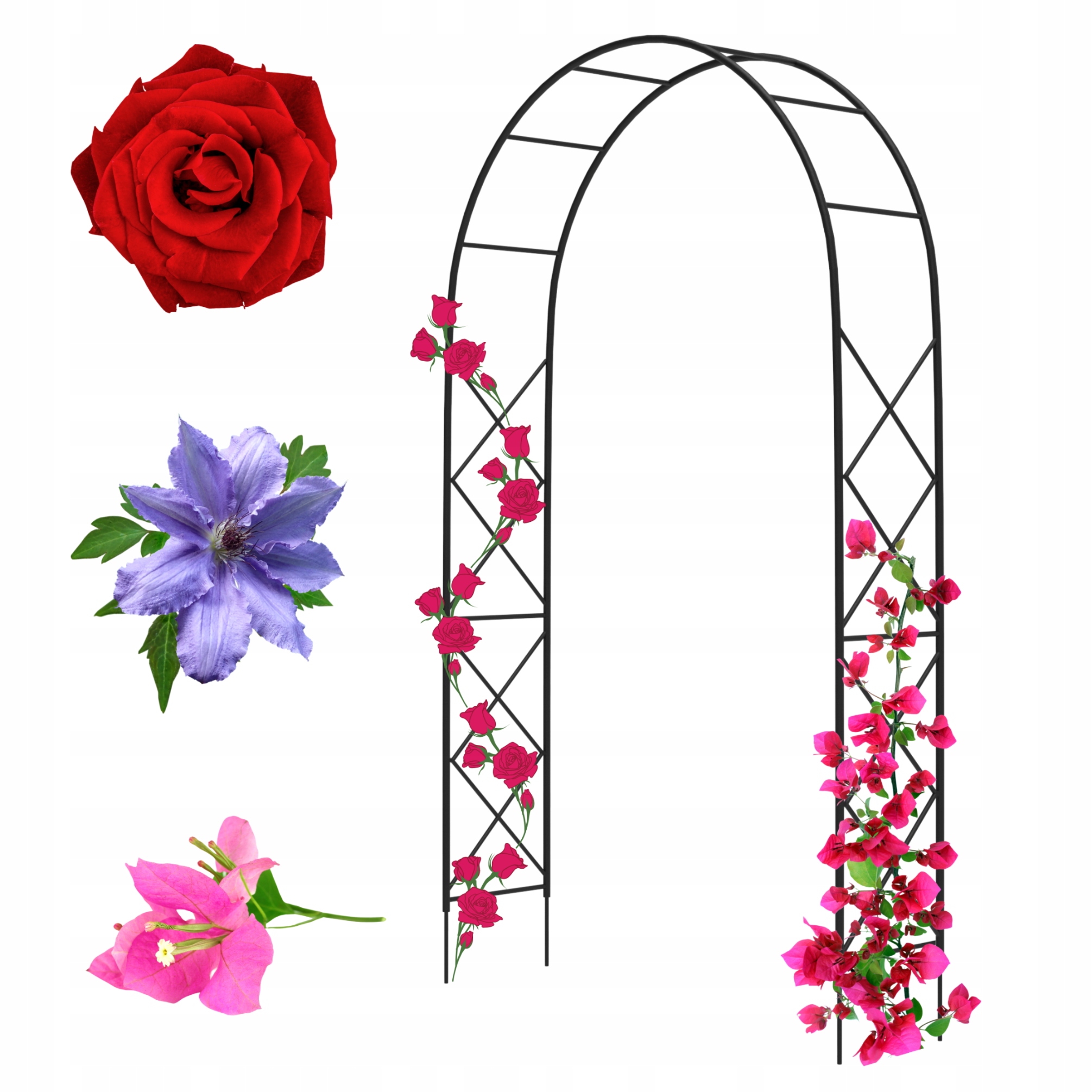 Záhradná pergola kovový oblúk Classic Podpora pre ruže Sundavilla clematis