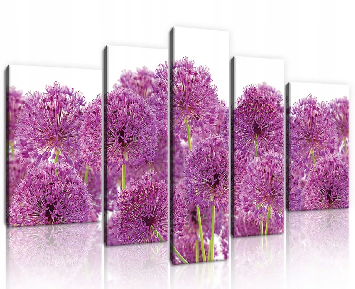 Obraz Na Plátně Canvas 170x100 Květiny Česnek