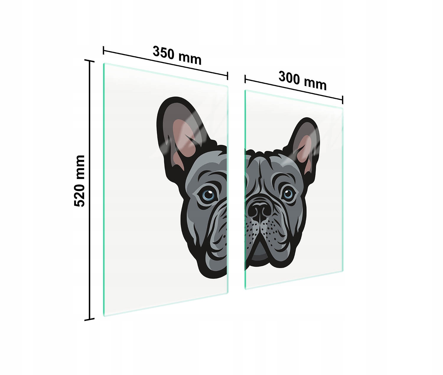 Skleněná Ochranná Deska Do Kuchyně 65x52 Pes
