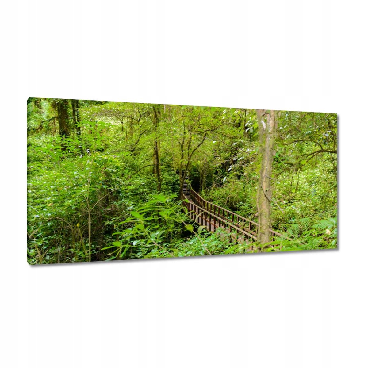 Obrazy 115x55 Krajinný park