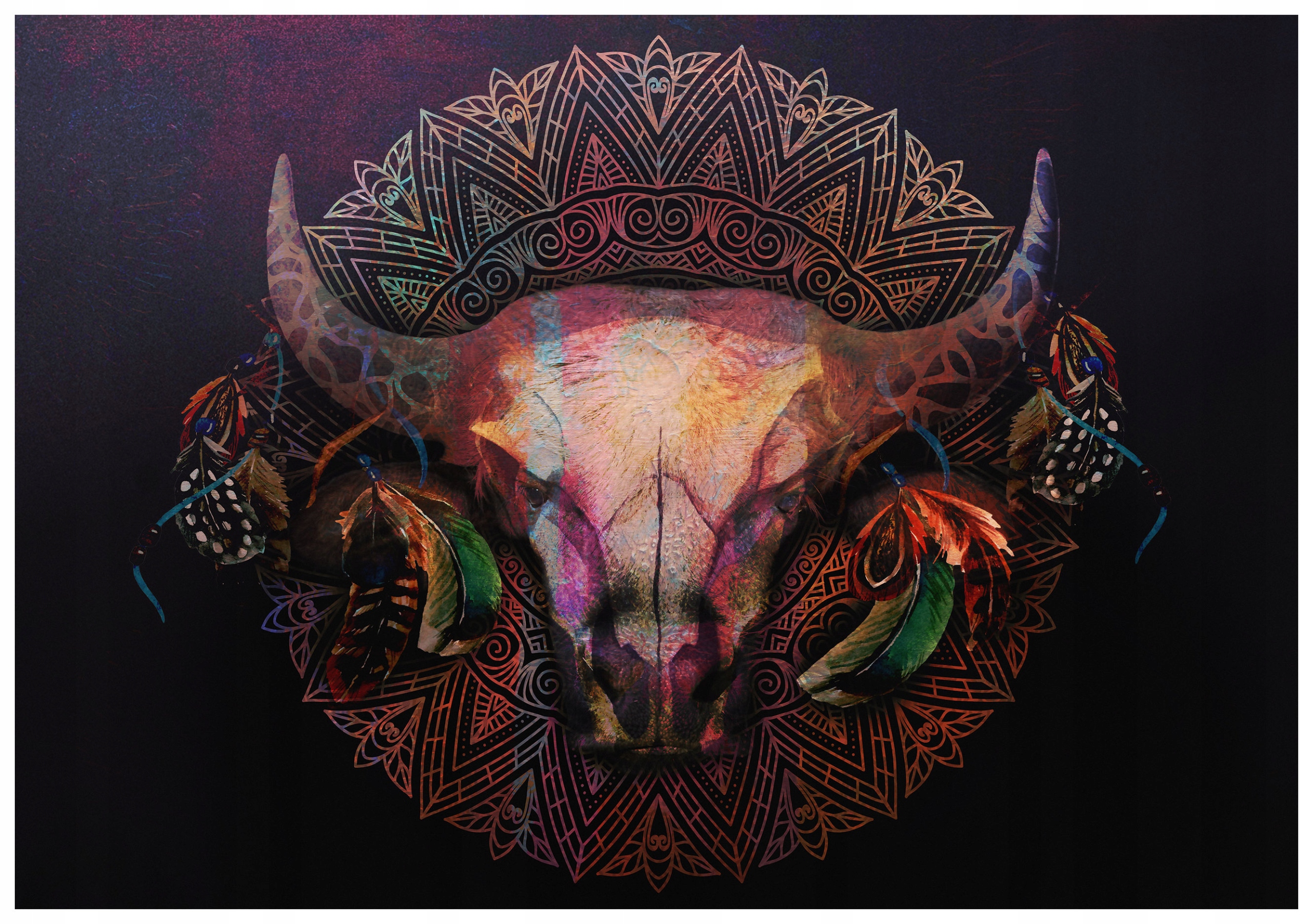 Fototapeta Mandala Lebka Bohovinská vinylová 254x184 lepidlo