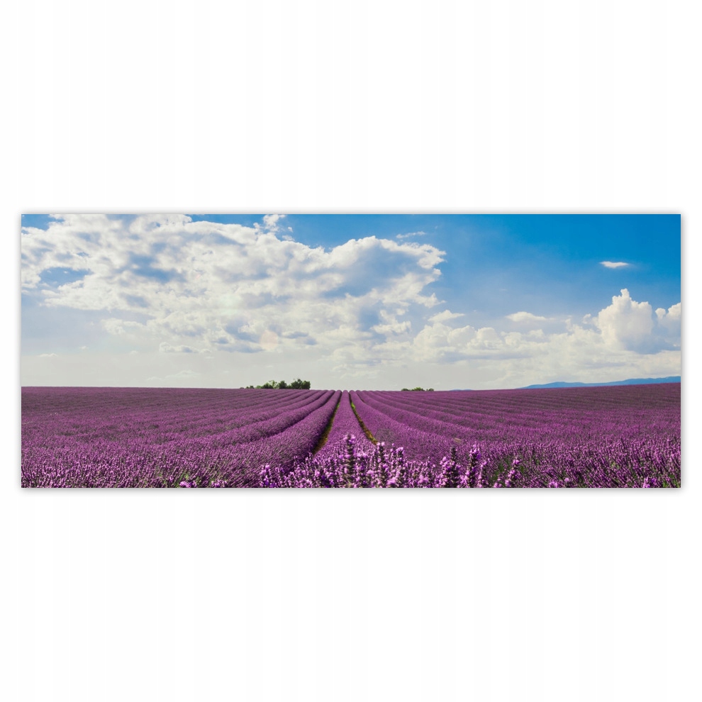 

Fototapety flizelina 250x104 Pole lawendy Lawenda