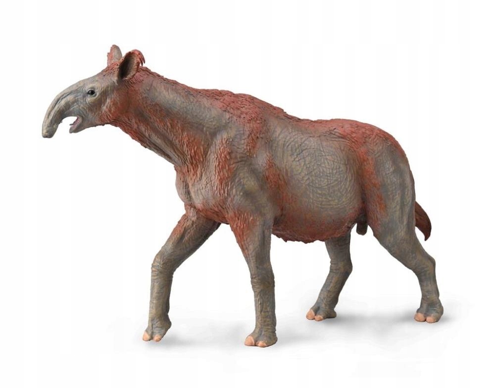 

Paraceratherium