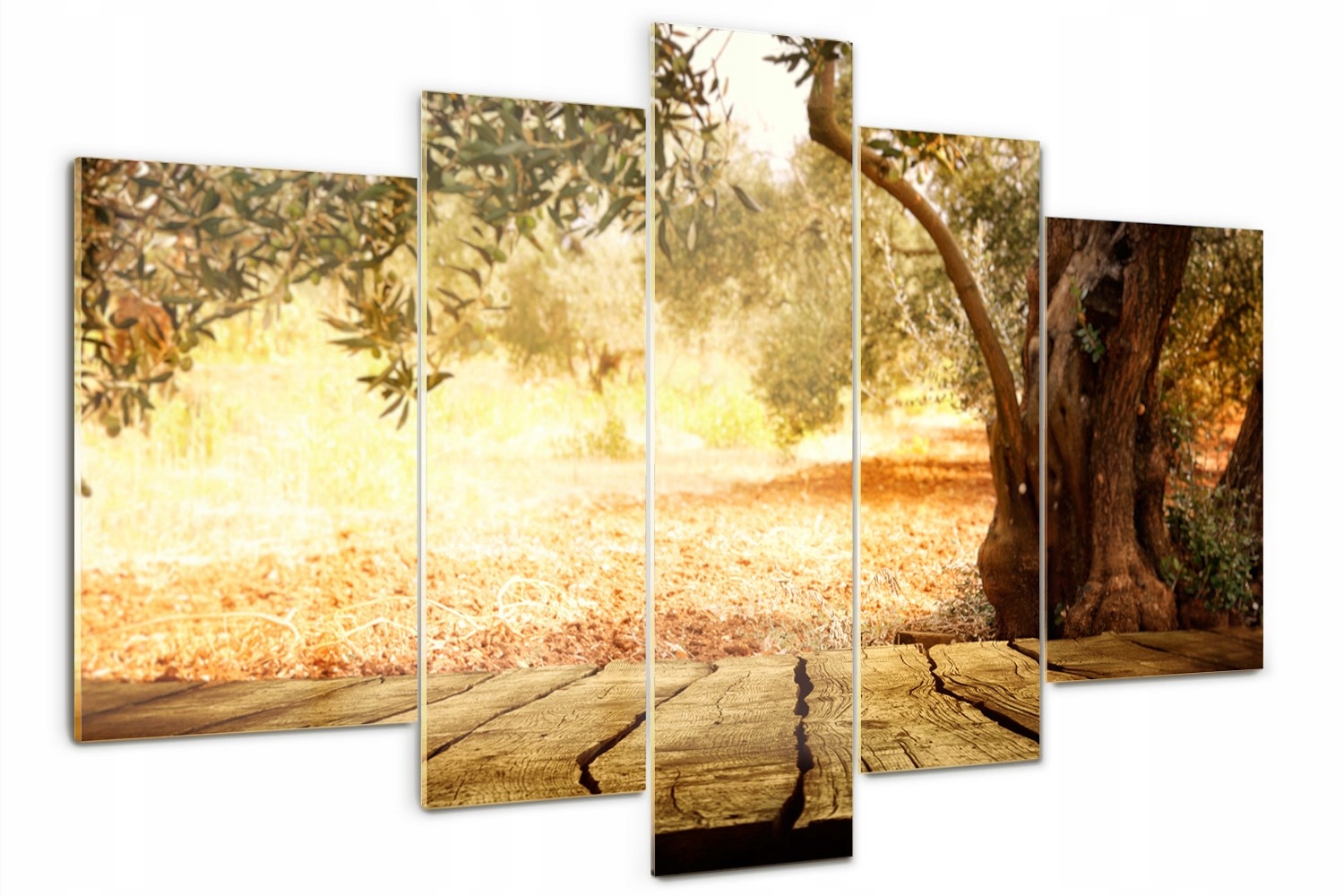 

Obraz szklany tryptyk do sypialni Drzewo oliwne