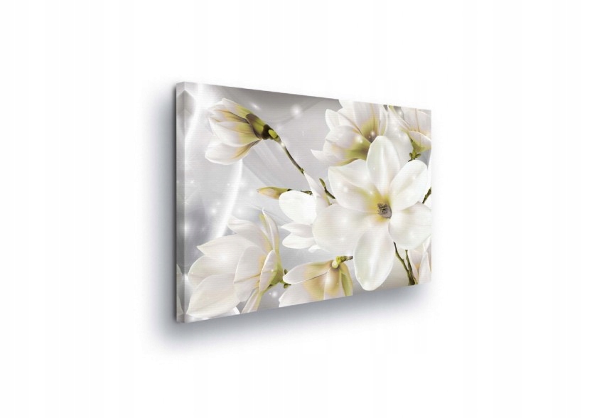 Obraz 100x75 Jemnost Čistota Květiny Magnolie Bílý Jasný Klid