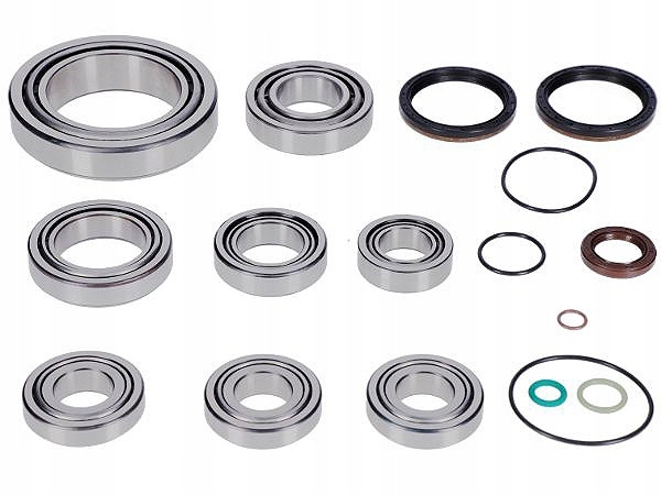 462 0197 - КОМПЛЕКТ ПОДШИПНИКОВ КОРОБКИ ПЕРЕДАЧ SEAT ALHAMBRA VW SHA