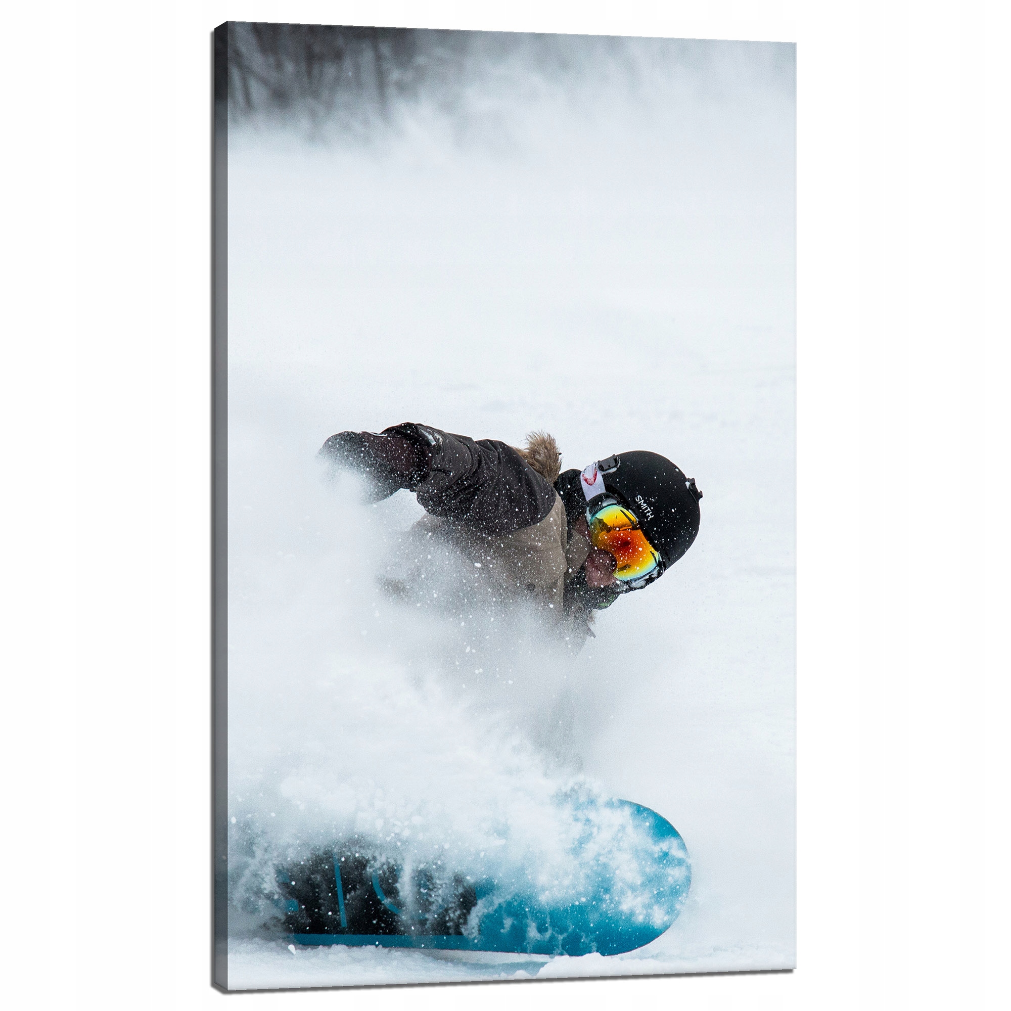 Obraz na plátně Snowboard Sníh Zima 60x100