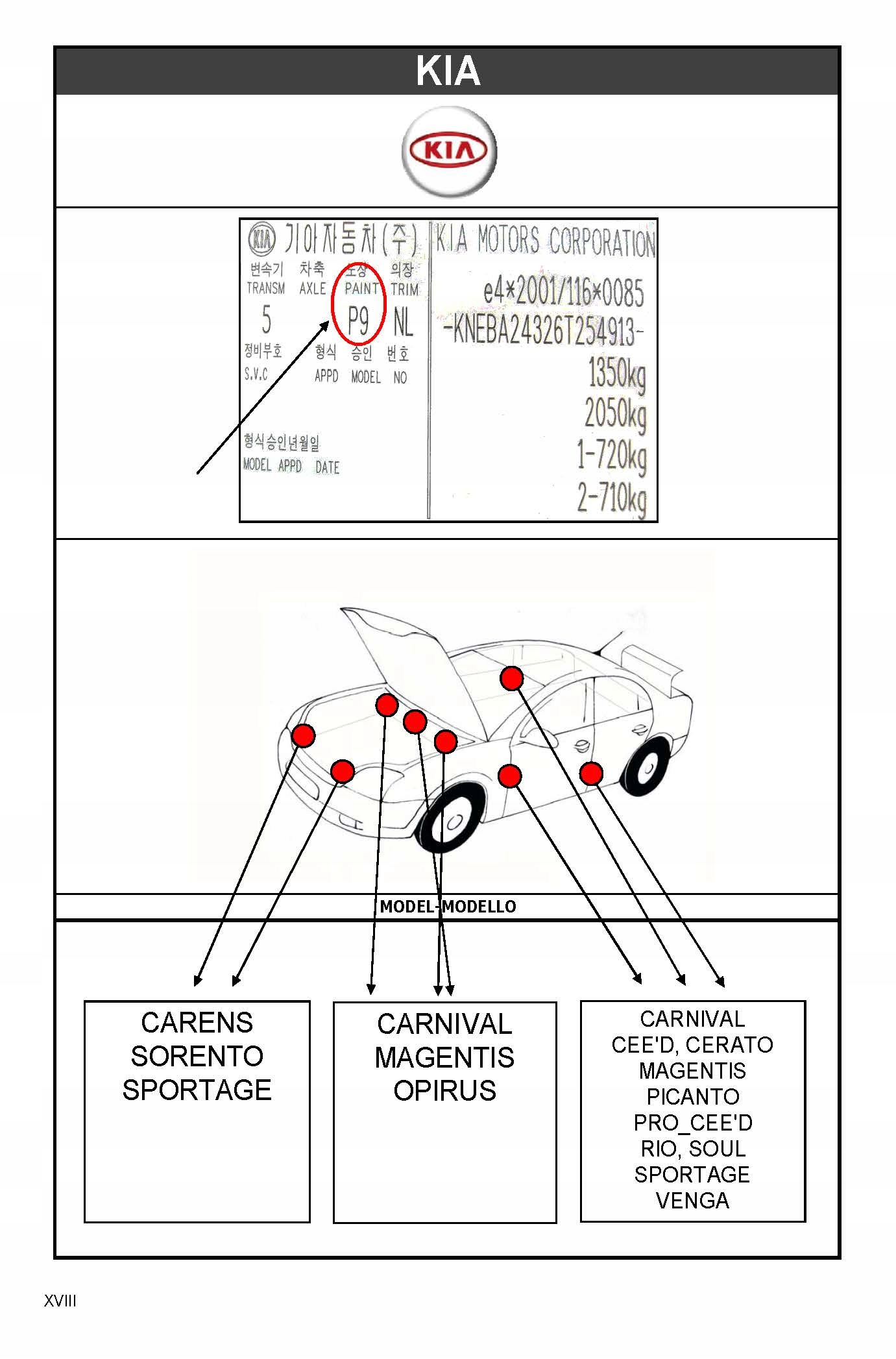ZAPRAWKA KIA HYUNDAI 9A STEEL GREY EFFECT Rodzaj zaprawki