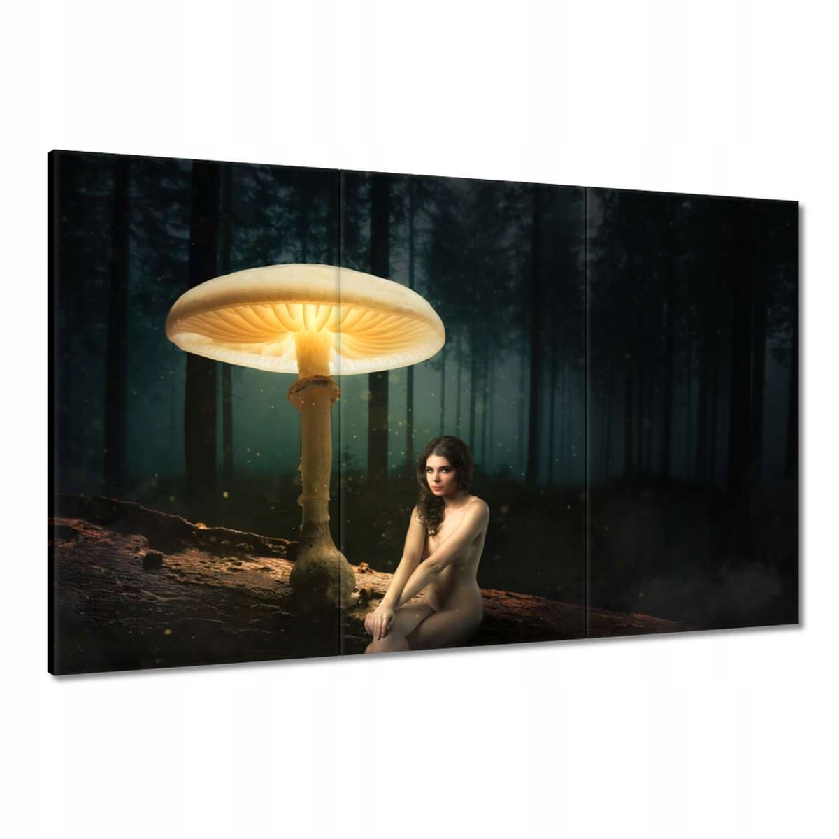 Obrazy 120x80 HardCore Design Photo Hc