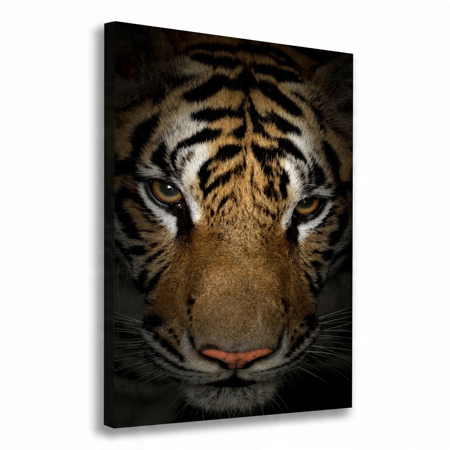 

Nowoczesny fotoobraz canvas na ramie Tygrys 70x100