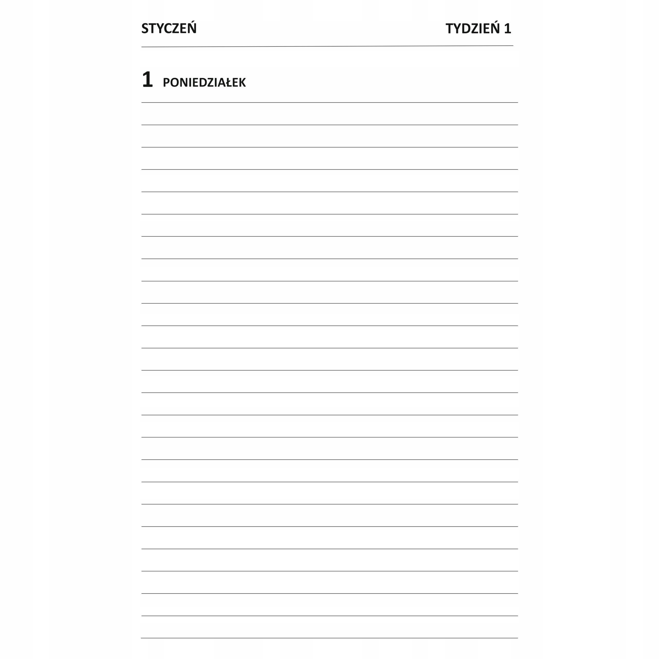 Kalendarz na 2024 rok DZIENNY TERMINARZ Format A4 Do hotelu restauracji Rodzaj książkowy