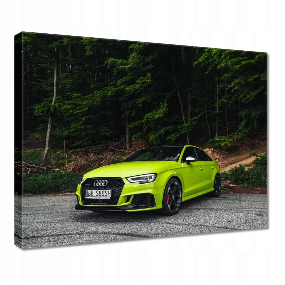 

Obraz 50x40 Limonkowe Audi
