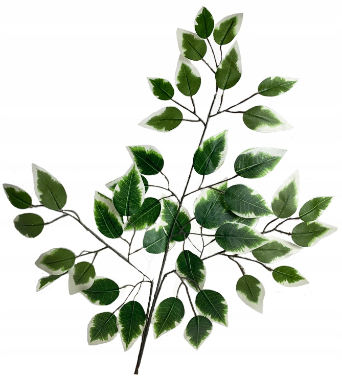 LIŚĆ SZTUCZNY Fikus Benjamin GAŁĄZKA DEKORACYJNA