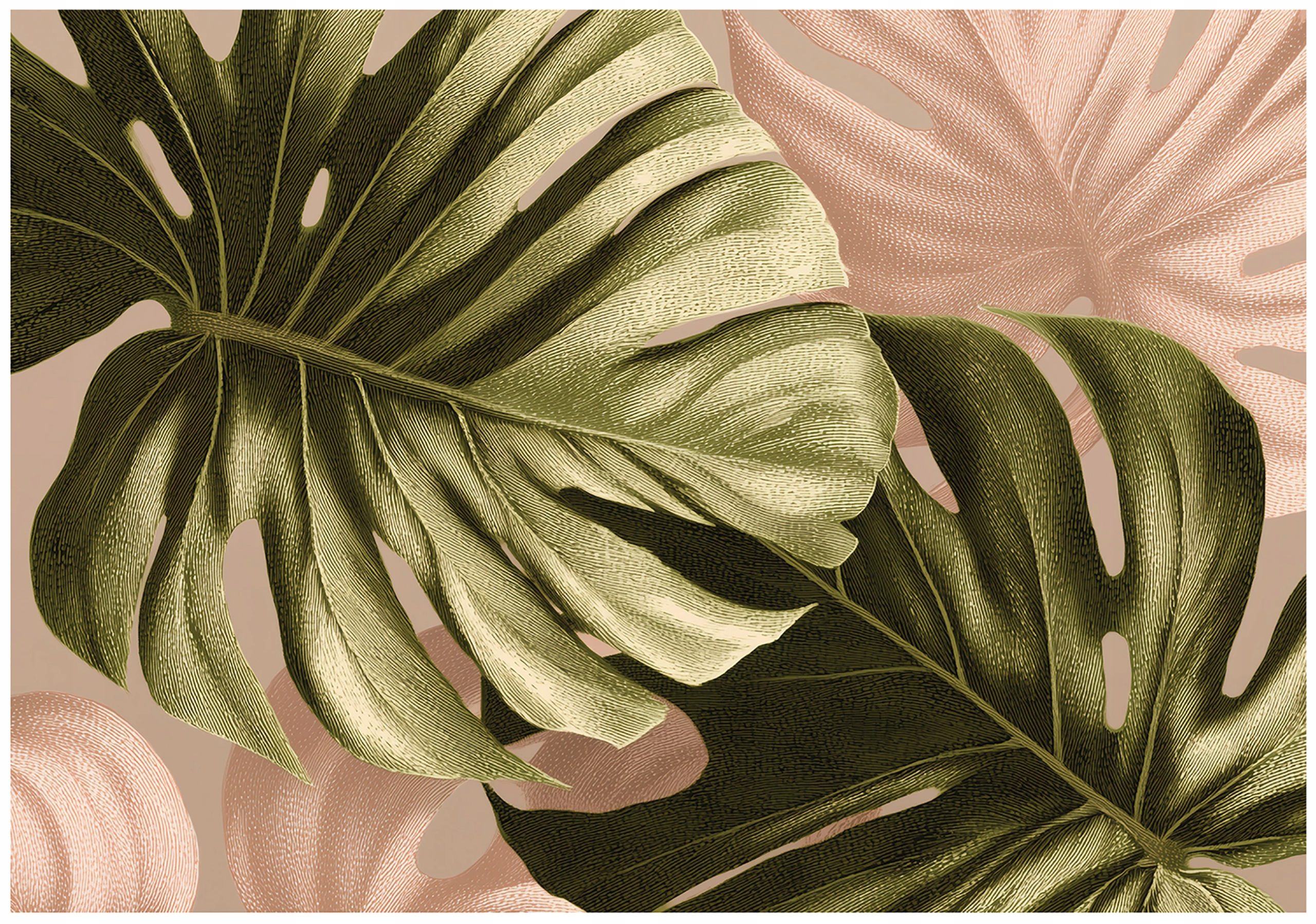 Fototapeta Listy Monstera Zelená Ložnice Obývací Pokoj Tapeta Flizelina 300x210