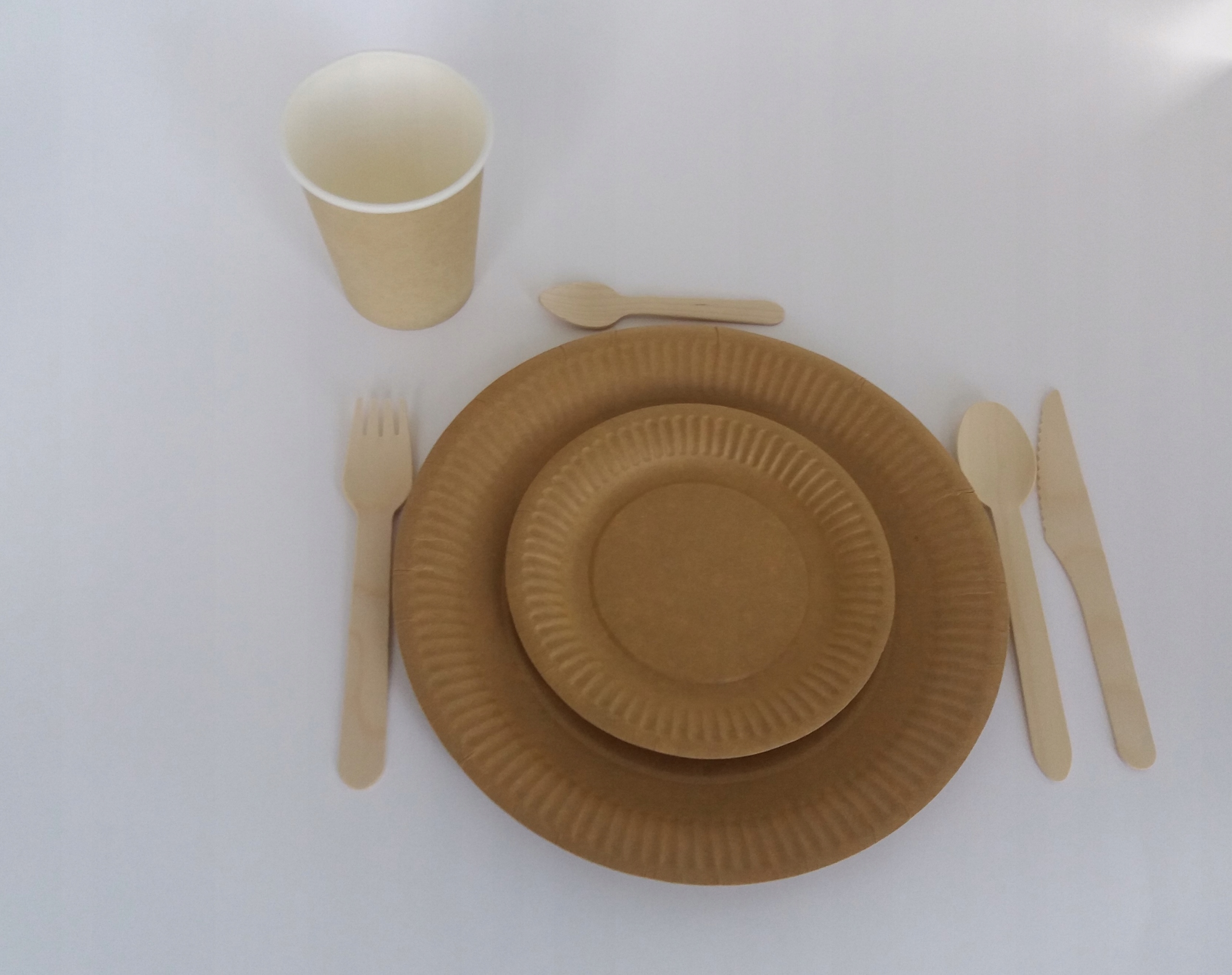 

Talerze papierowe brązowe 15cm/100 sztuk