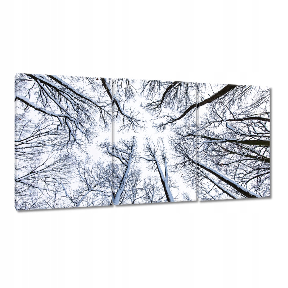 

Obrazy 120x60 Drzewo Drzewa Widok
