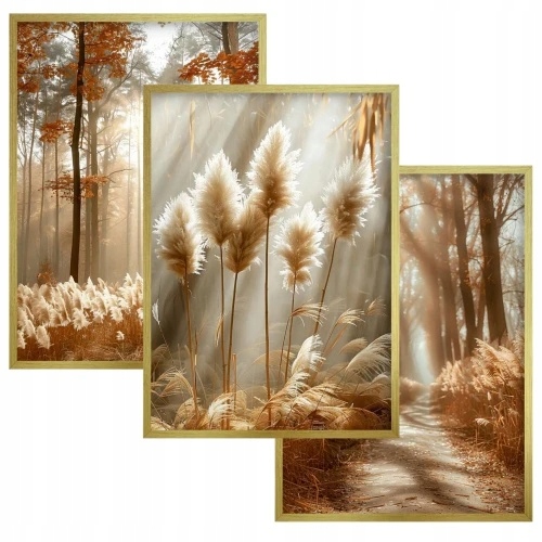 Obrazy Plakáty Zlatý rám Triptych v rámu dekorace na zeď Tráva Boho